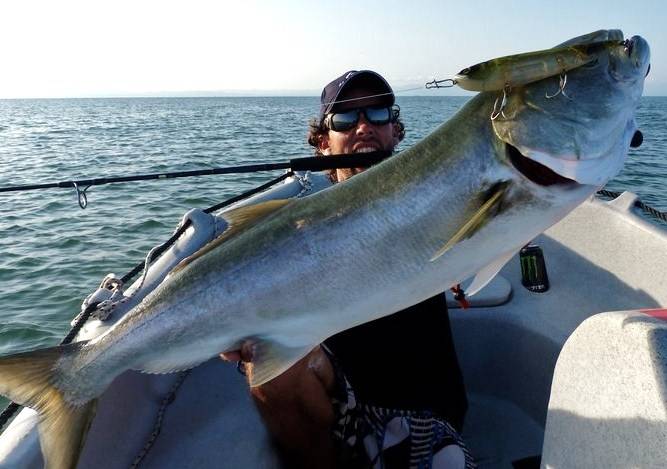 Comment pêcher le tassergal