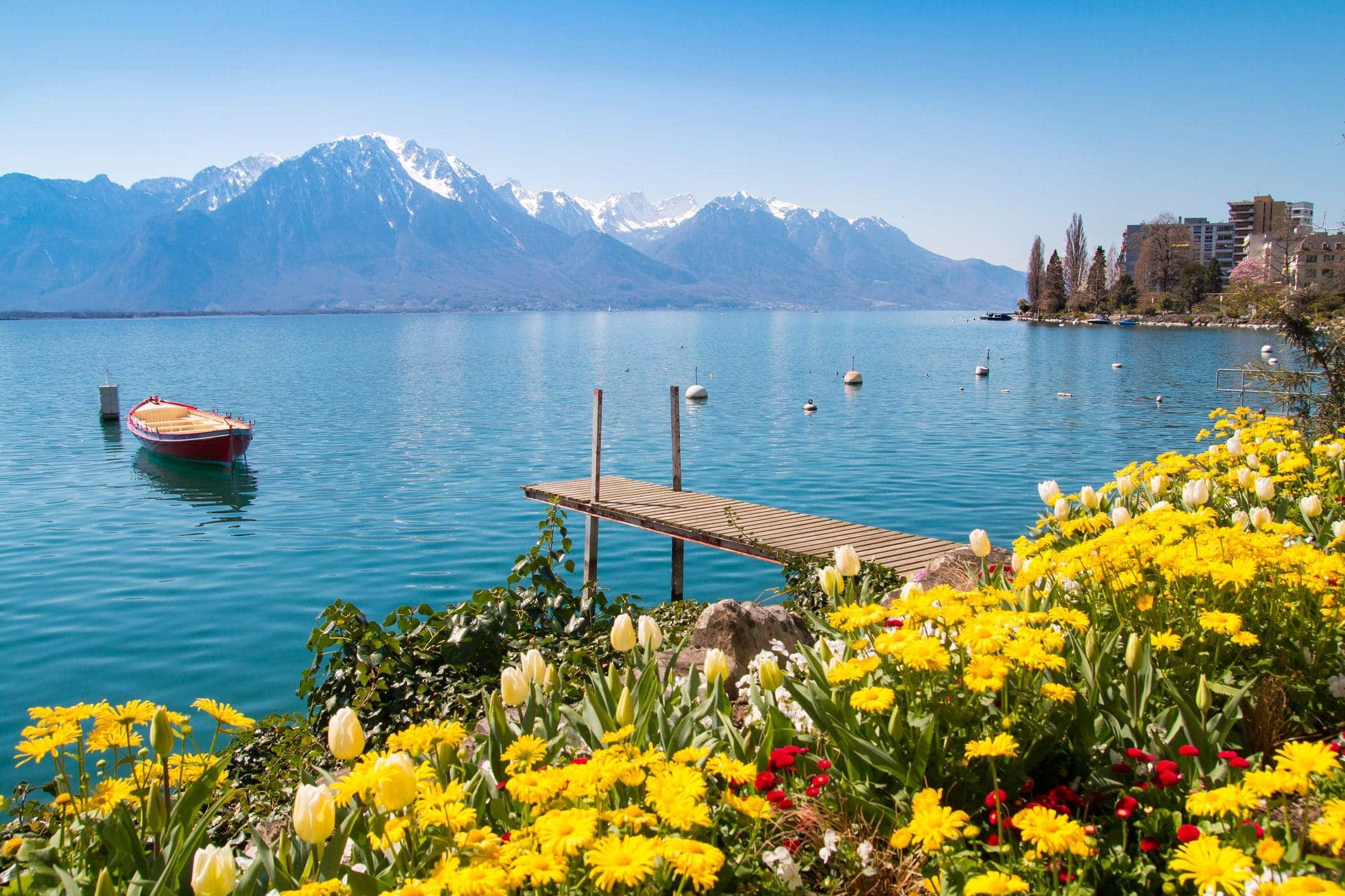 quels sont les poissons dans le lac léman