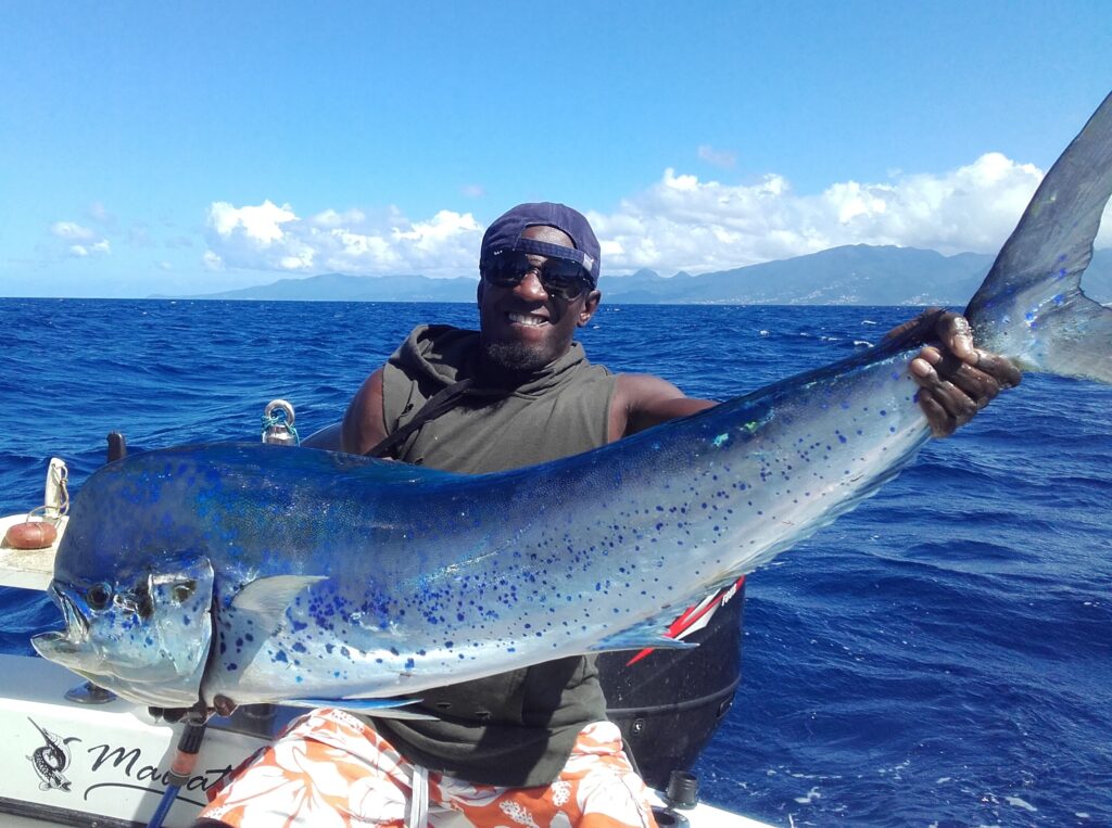 Le Mahi-Mahi - Habitat pélagique et pêche en haute mer mahi mahi dorade coryphène