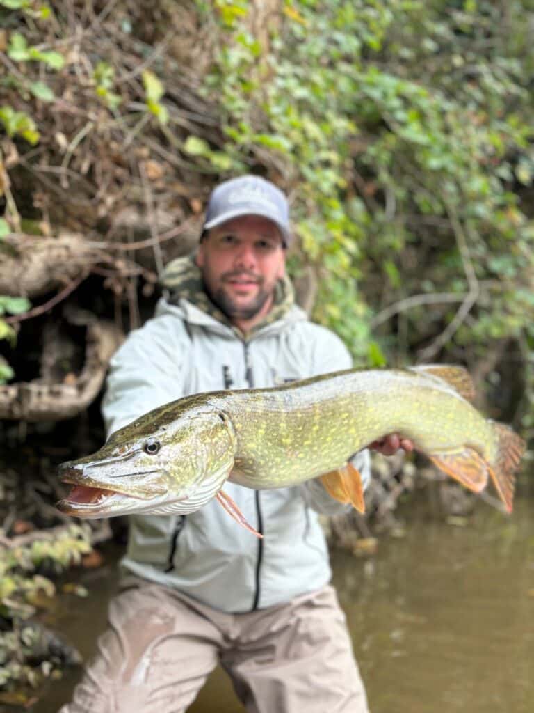 peche du brochet leurre