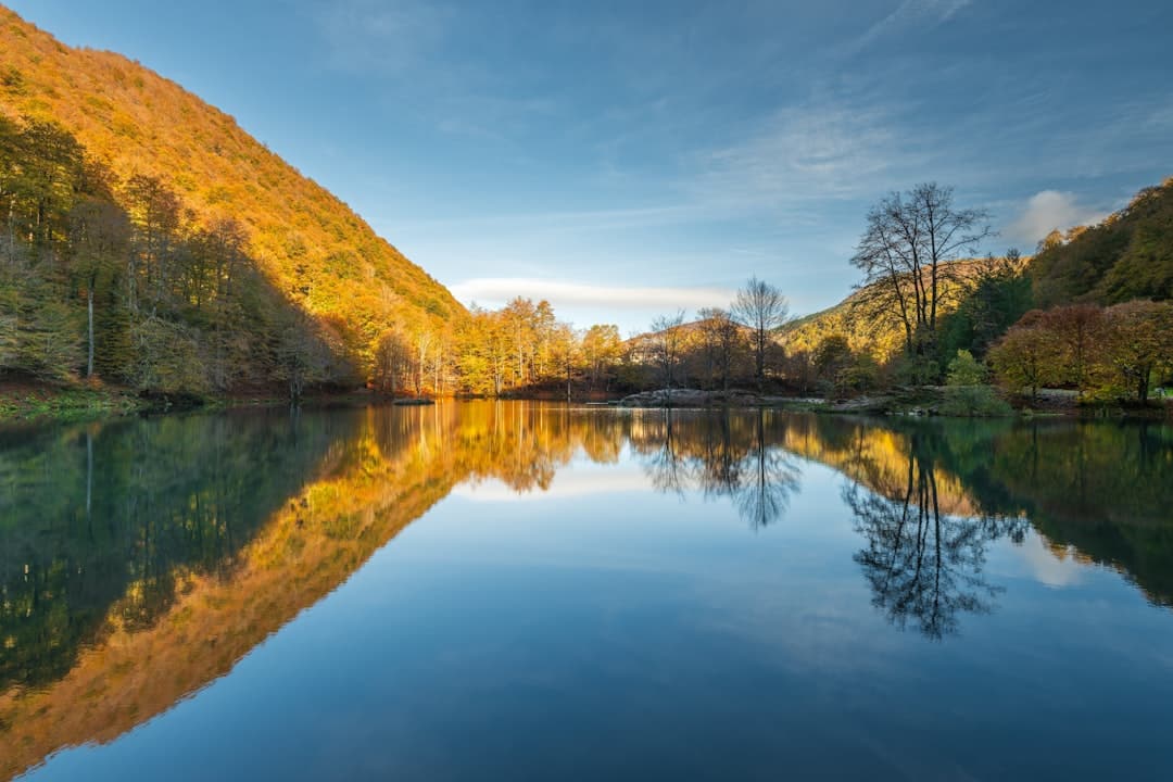 poissons et pêche au lac de bethmale