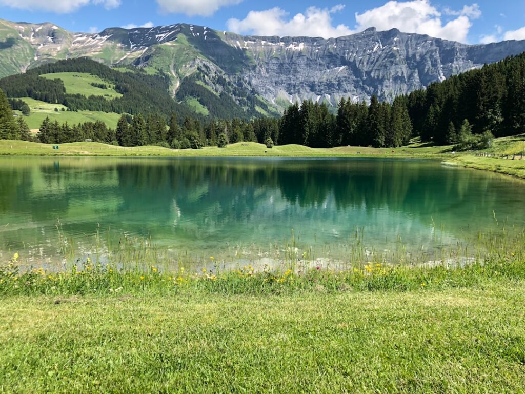 lac de chalain - vue du lac