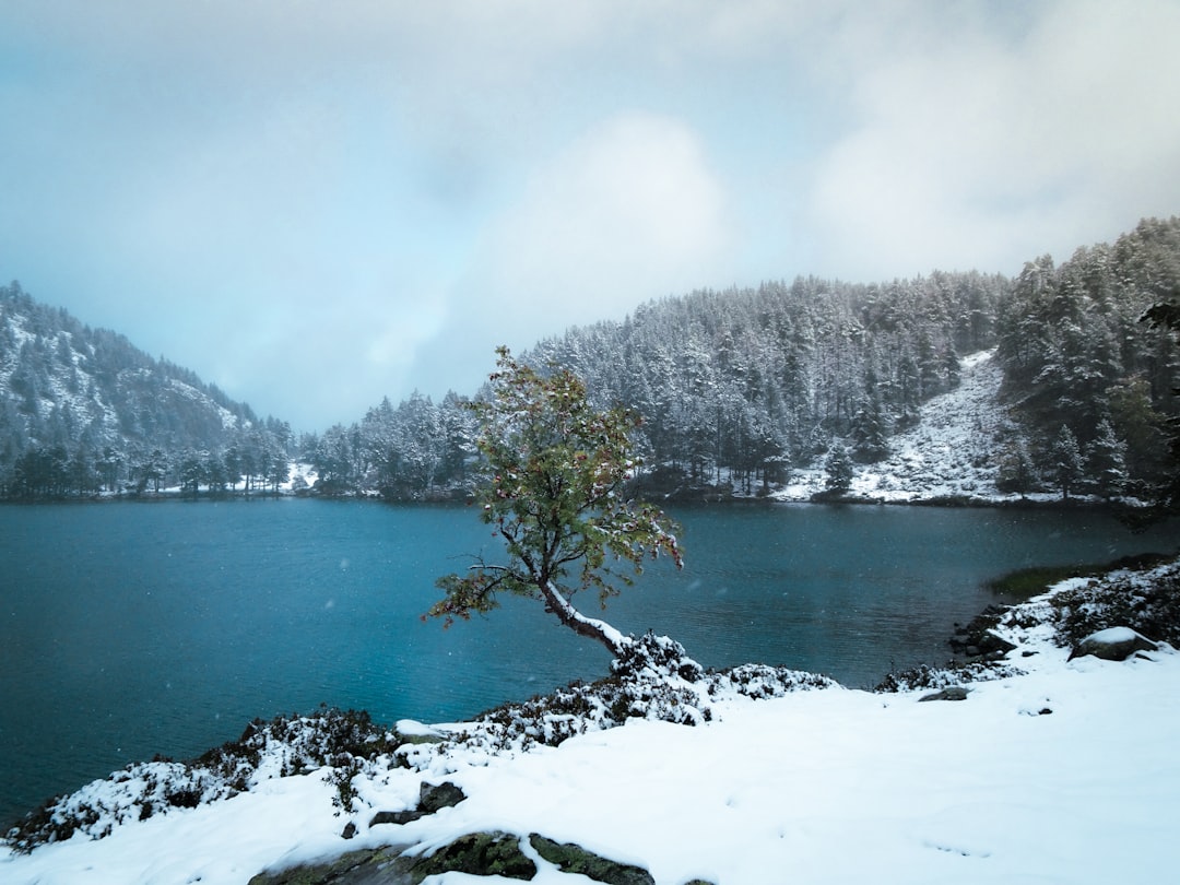 Lac de Chambon – Carpe, brochet et pêche au bord de l'eau lac de chambon pêche aux leurres