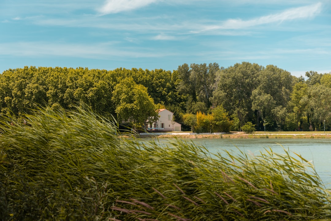 Lac de Chour – Pêche en lac : espèces, spots et conseils lac de chour pêche aux leurres