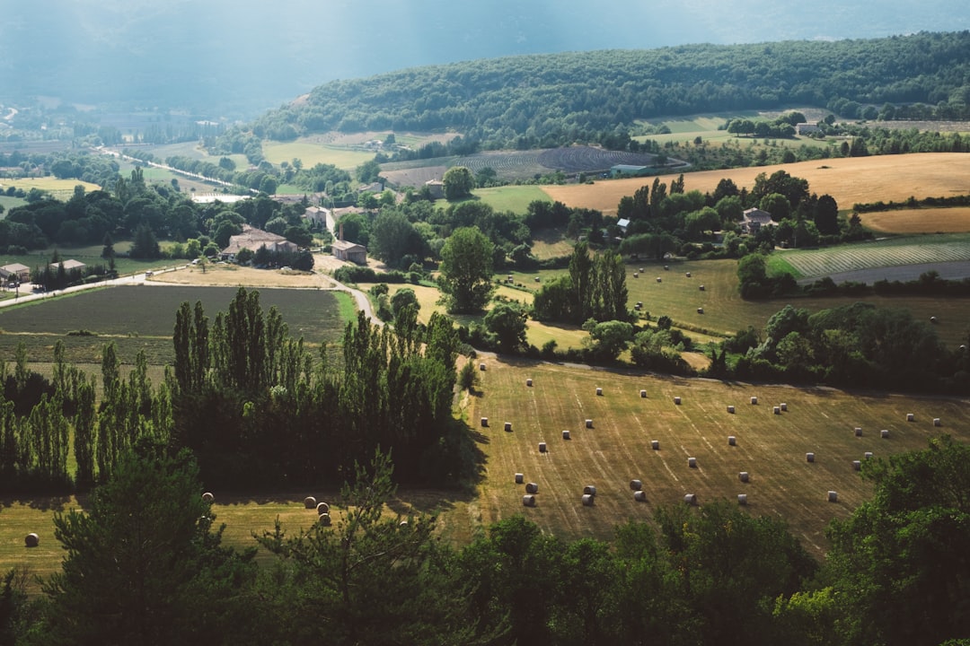 Lac de Crop – Carpe, brochet et pêche au bord de l'eau lac de crop - vue du lac