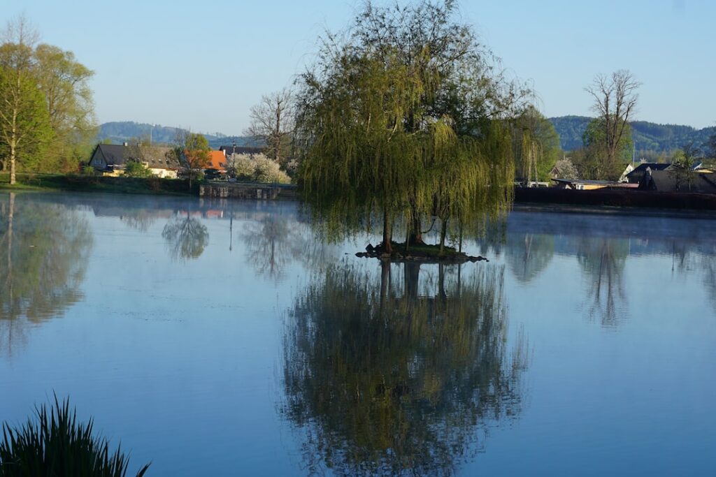 lac de devesset - vue du lac