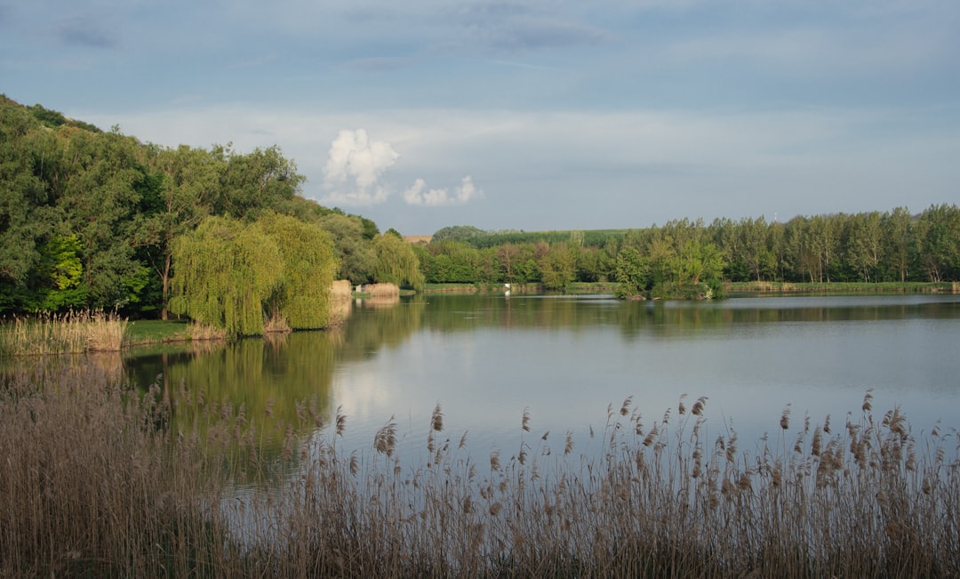 poissons et pêche au lac de devesset
