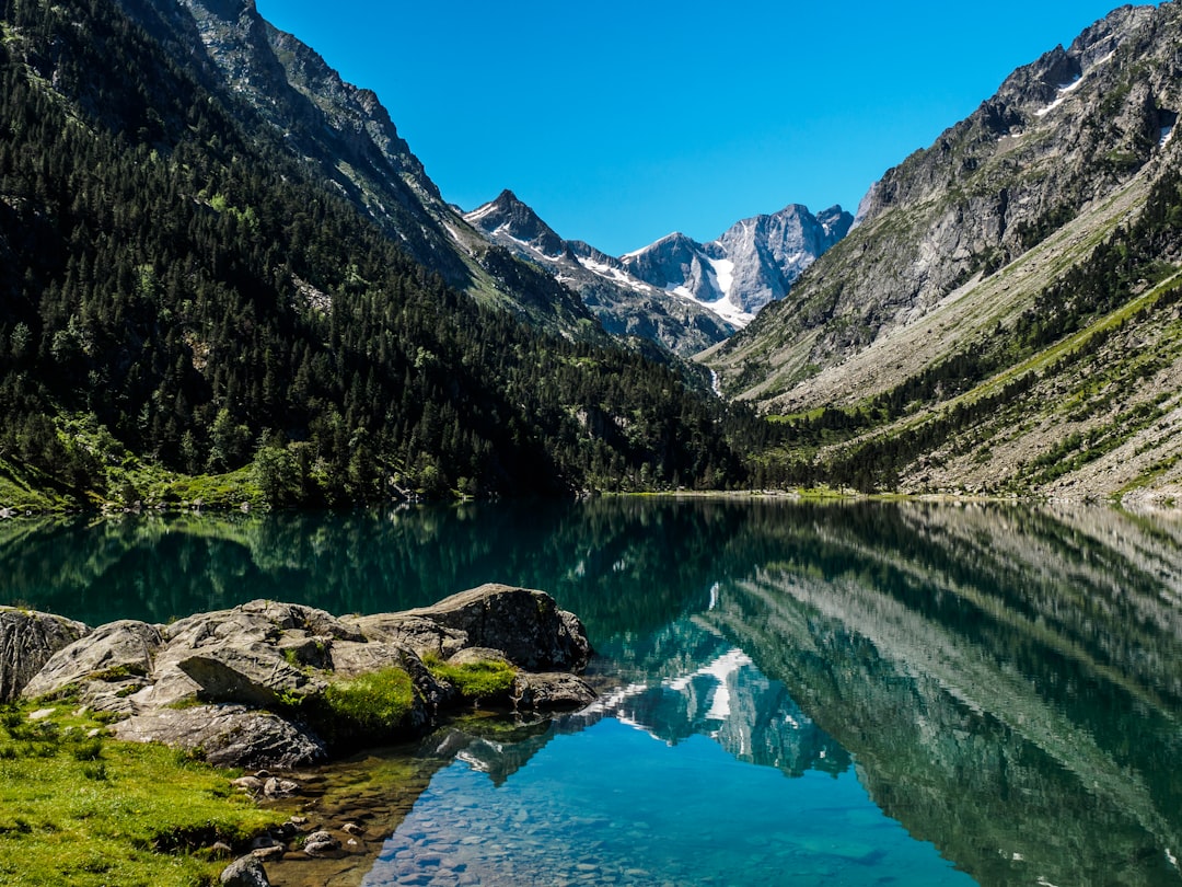 Lac de Gaube – Pêche au coup, carpe et activités nautiques poissons et pêche au lac de gaube