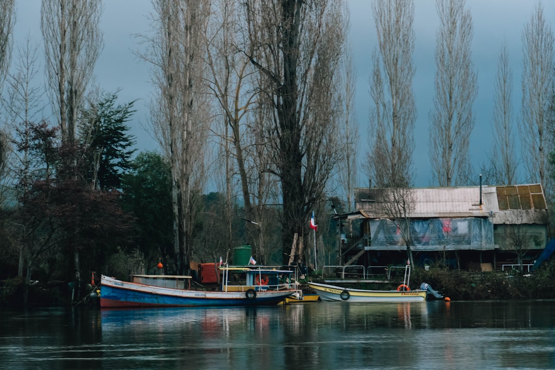 Lac de Genin – Tout savoir : pêche, faune aquatique et loisirs lac de genin pêche aux leurres