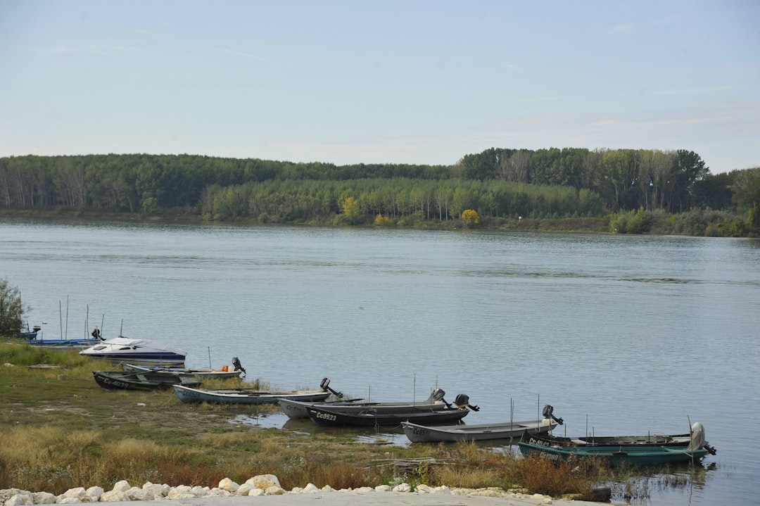 Lac de Genin – Tout savoir : pêche, faune aquatique et loisirs poissons et pêche au lac de genin