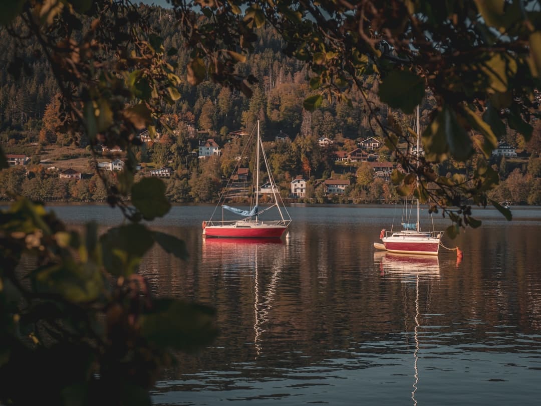 Lac de Gérardmer – Poissons, pêche et activités en bord de lac lac de gérardmer pêche aux leurres