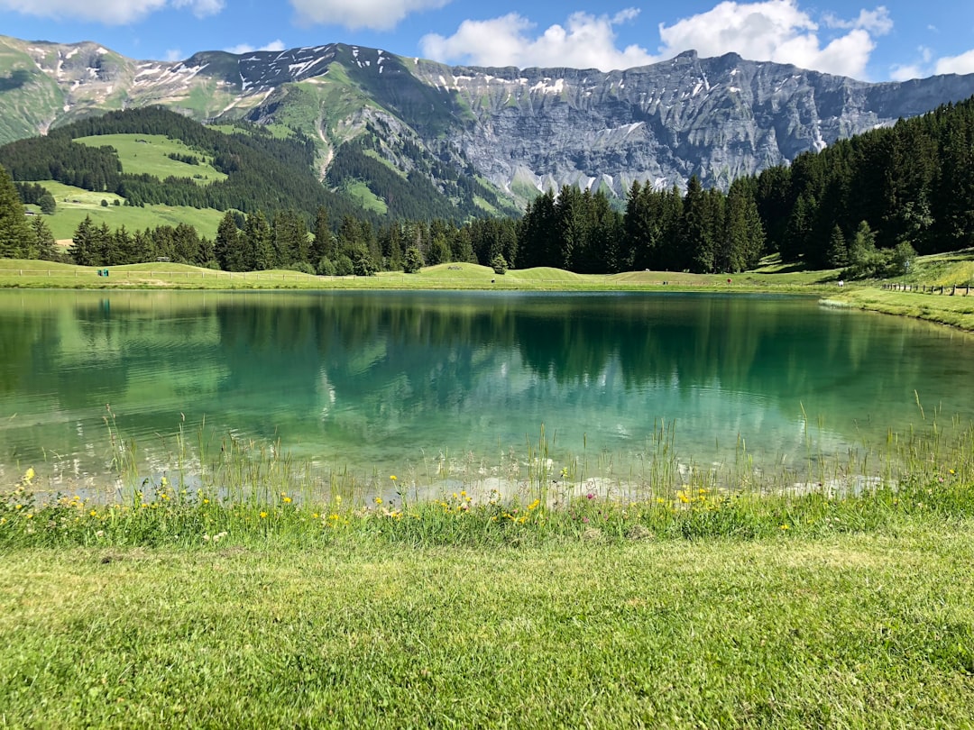 Lac de Gérardmer – Poissons, pêche et activités en bord de lac lac de gérardmer - vue du lac