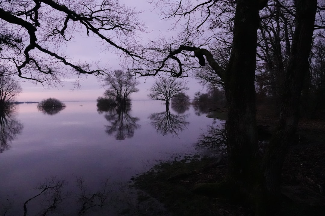 lac de grand lieu pêche aux leurres