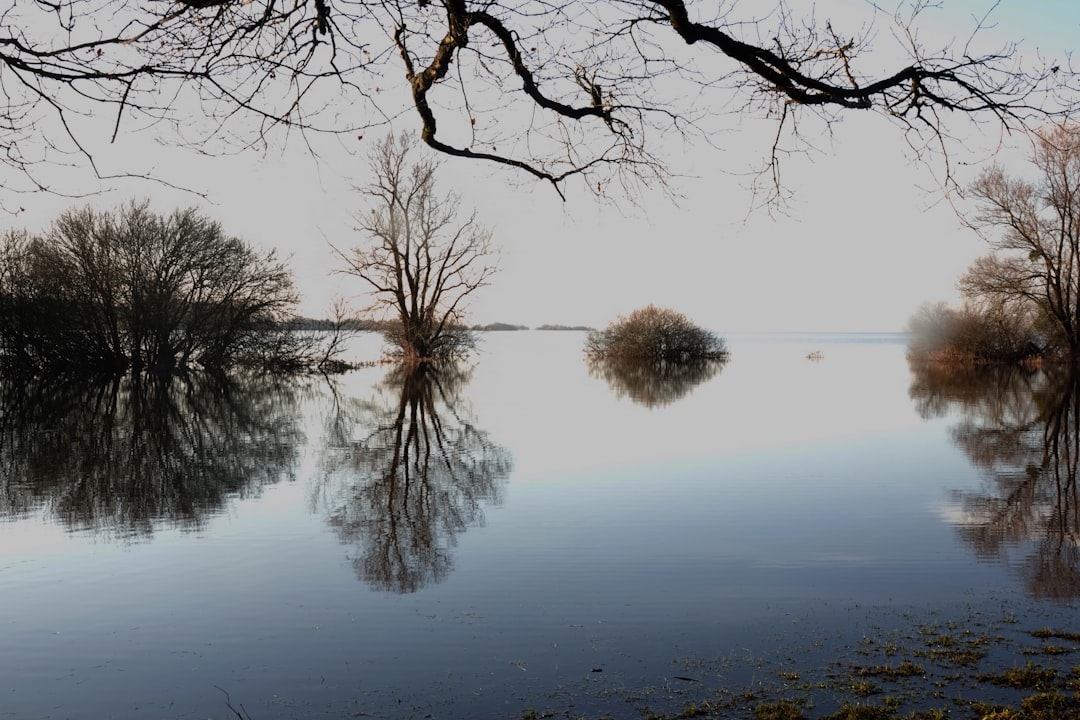 lac de grand lieu - vue du lac
