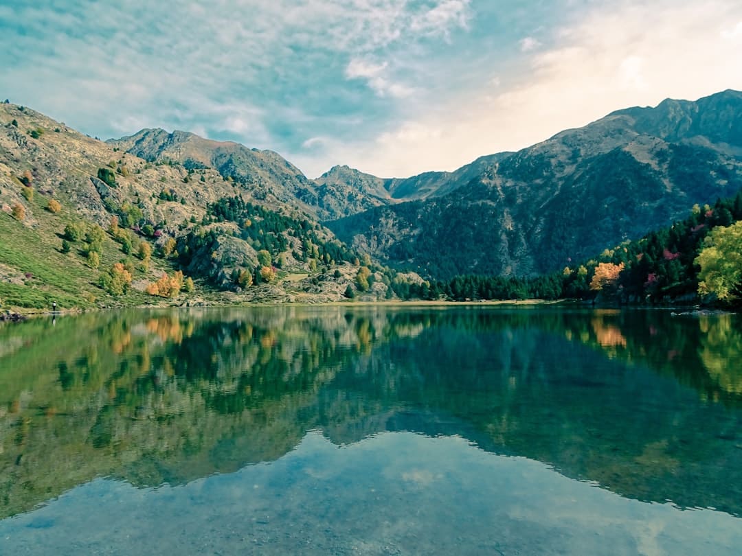 Lac de Guerledan – Carpe, brochet et pêche au bord de l'eau poissons et pêche au lac de guerledan