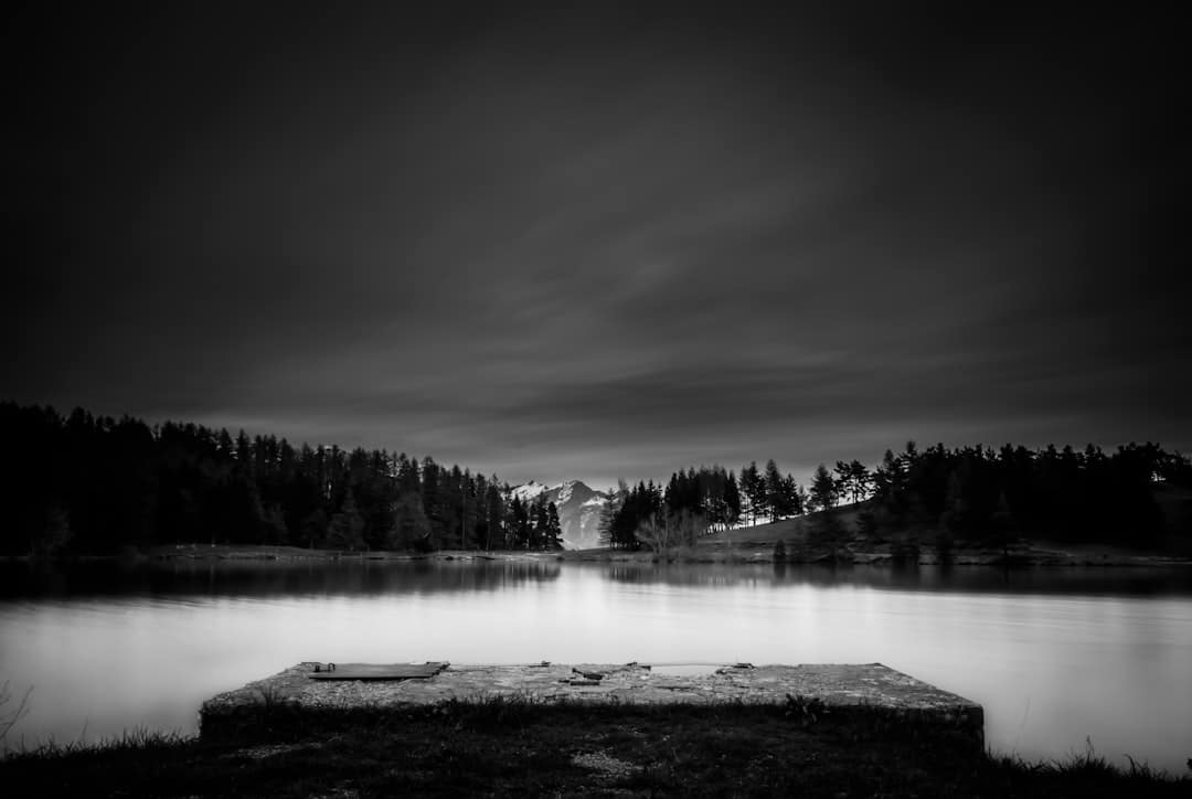 lac de guerledan - vue du lac