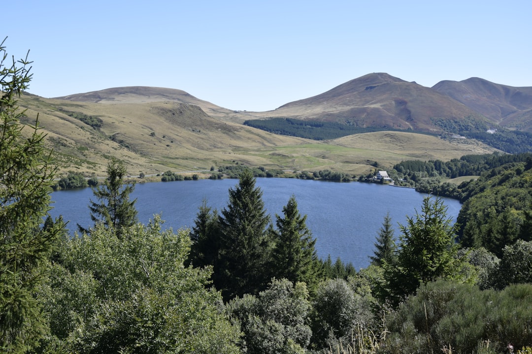 Lac de Guery – Pêche, nature et activités autour du lac poissons et pêche au lac de guery