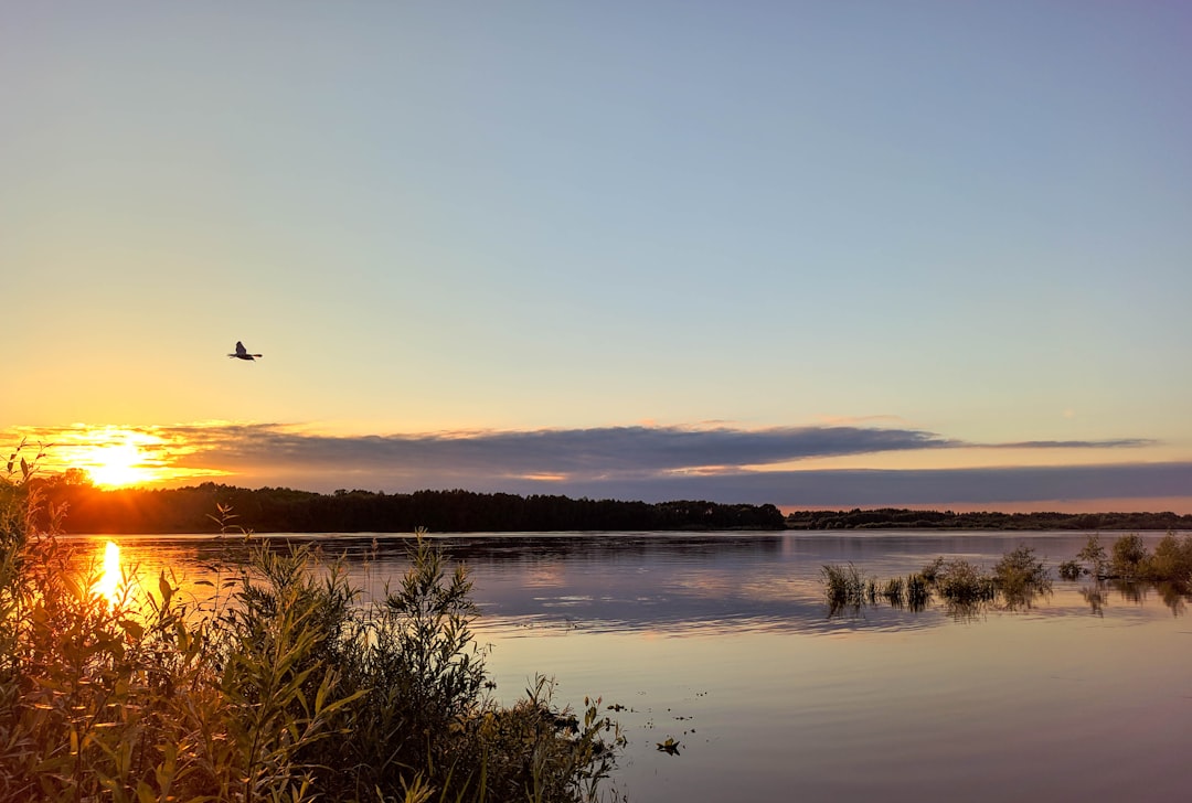 lac de jouarres pêche aux leurres