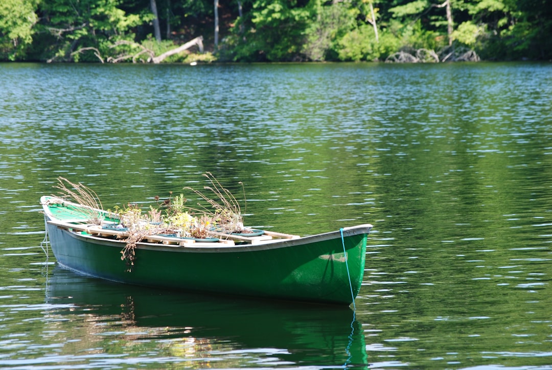 Lac de Kruth – Guide pêche, poissons et activités nautiques lac de kruth pêche aux leurres