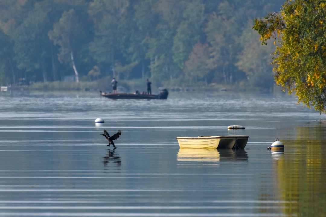 Lac de Kruth – Guide pêche, poissons et activités nautiques poissons et pêche au lac de kruth
