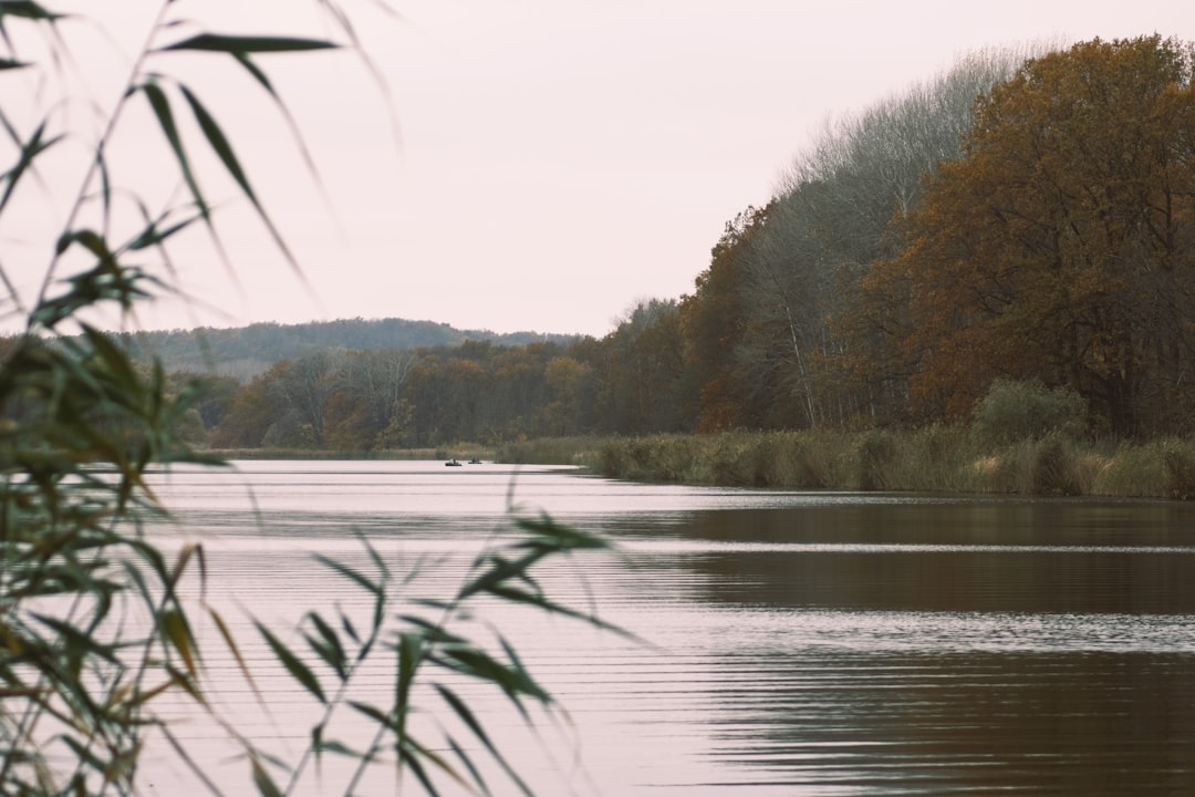 Lac de Lessy – Pêche, baignade et infos pratiques lac de lessy - vue du lac
