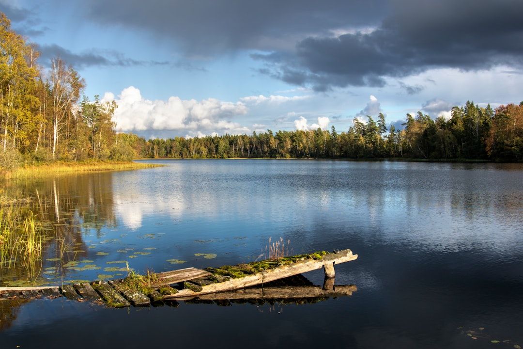 Lac de Lispach – Tout savoir pour pêcher et profiter du lac poissons et pêche au lac de lispach