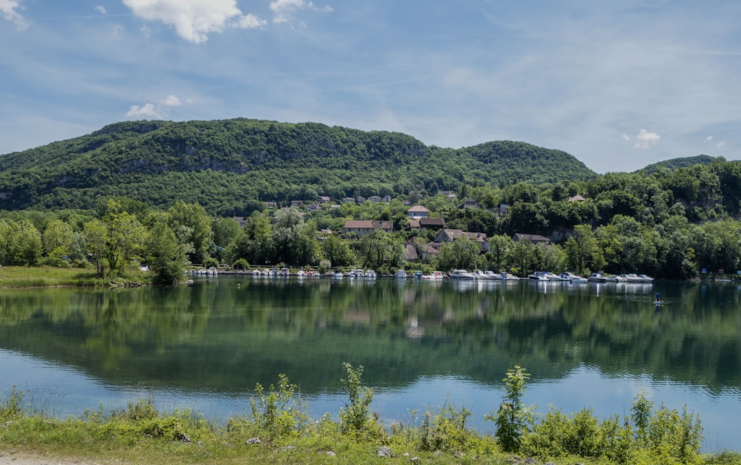 poissons et pêche au lac de l'ouest