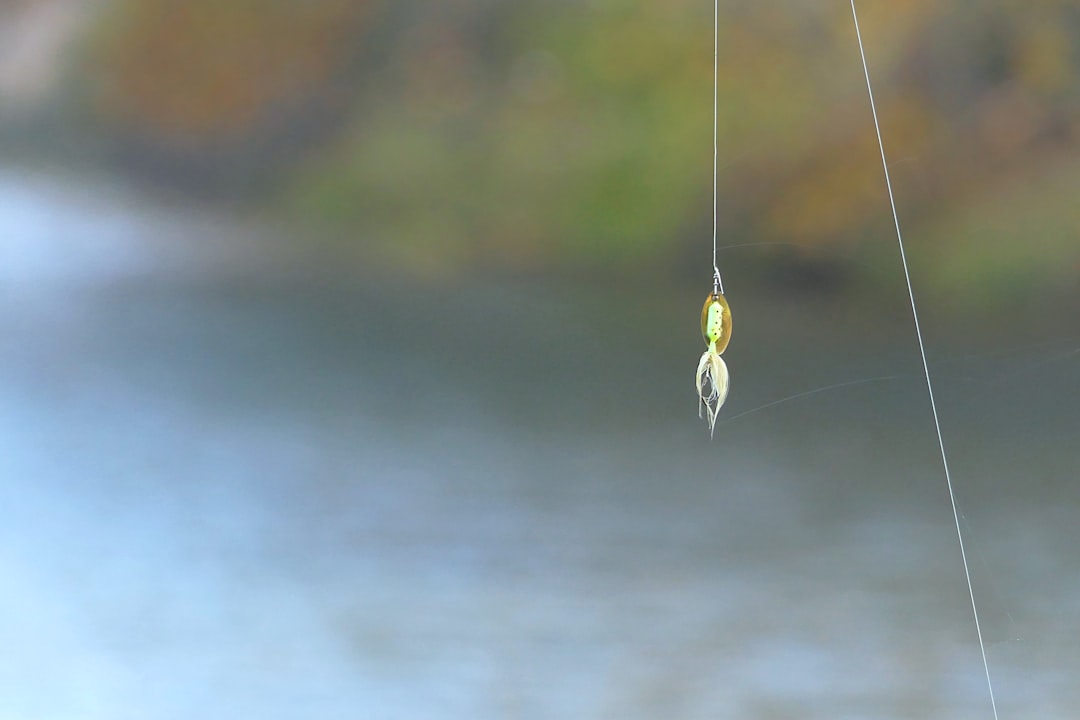 activités au lac de l'ouest