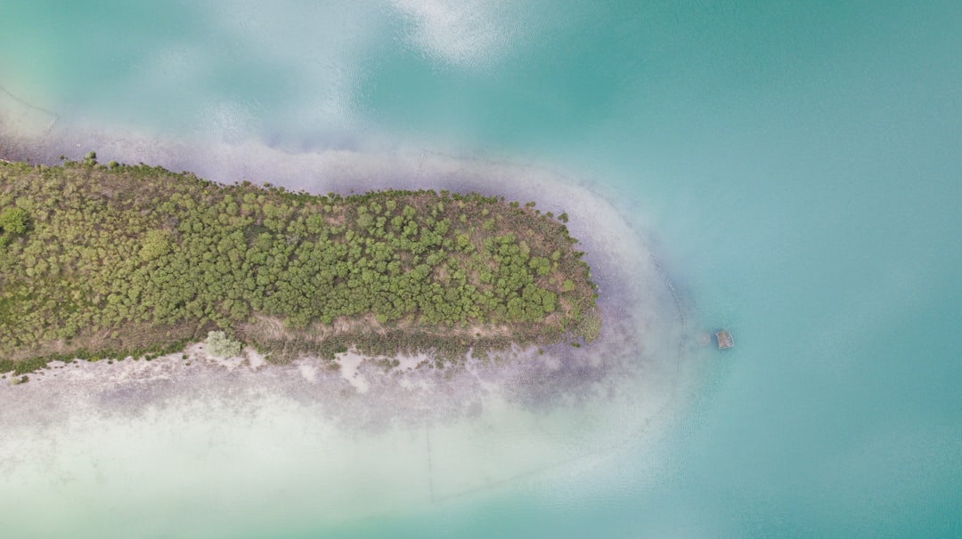 Lac de Montbel – Pêche au coup, carpe et activités nautiques poissons et pêche au lac de montbel
