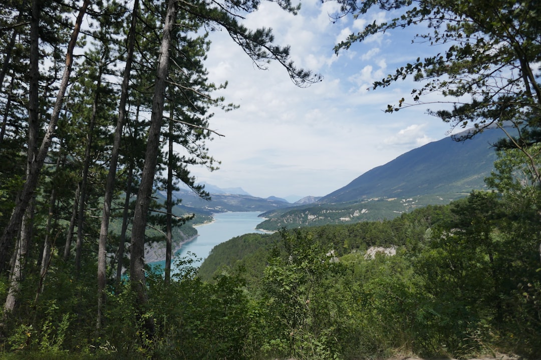 Lac de Monteynard – Tout savoir : pêche, faune aquatique et loisirs lac de monteynard pêche aux leurres