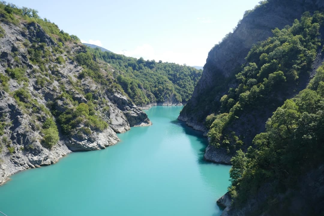 Lac de Monteynard – Tout savoir : pêche, faune aquatique et loisirs poissons et pêche au lac de monteynard