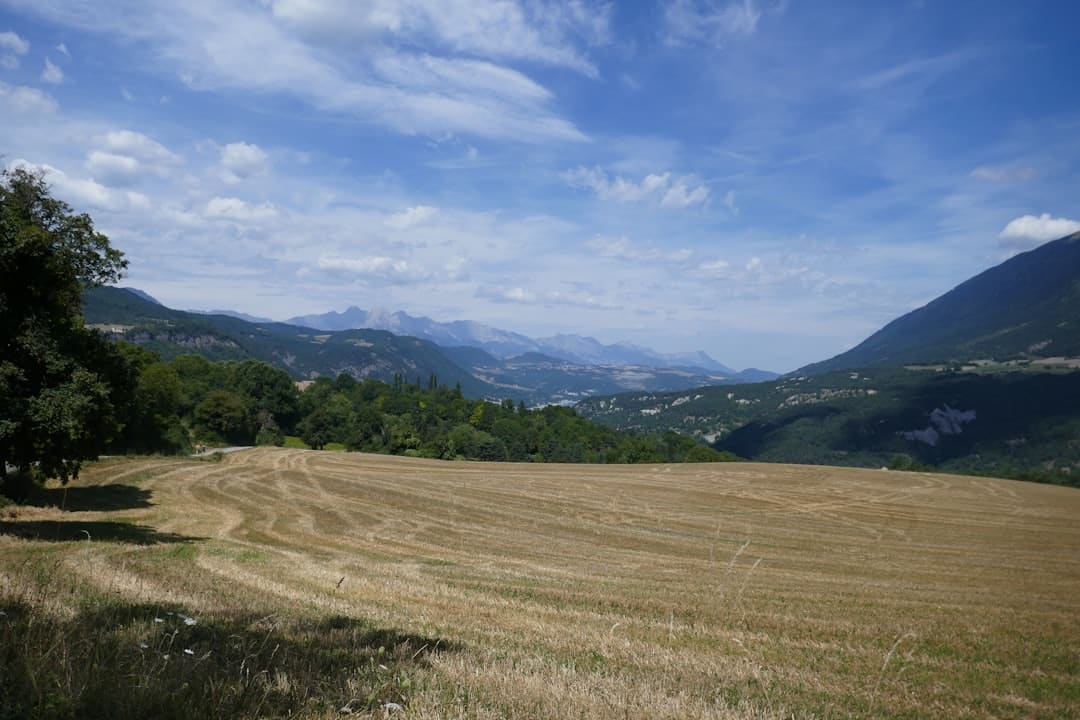 Lac de Monteynard – Tout savoir : pêche, faune aquatique et loisirs lac de monteynard - vue du lac