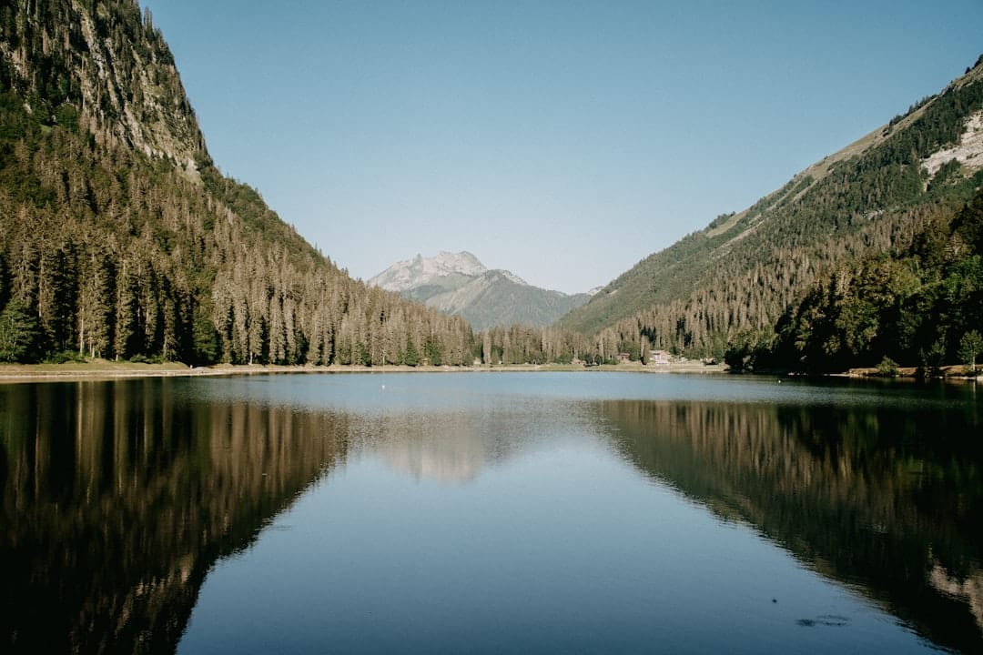 lac de montriond pêche aux leurres