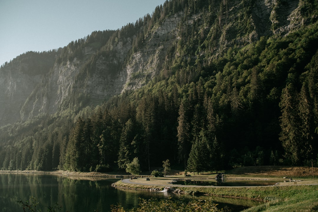 poissons et pêche au lac de montriond
