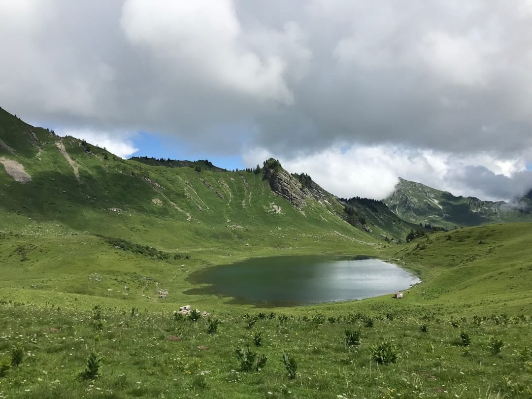 lac de nantua pêche aux leurres