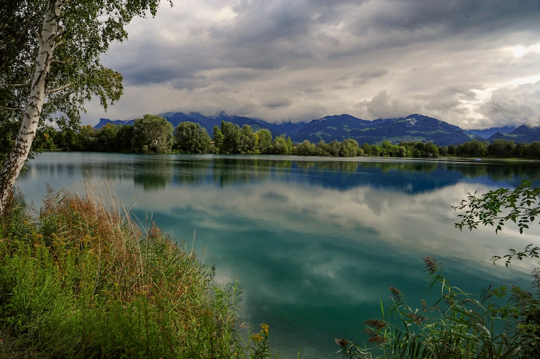 Lac de Naussac – Tout savoir : pêche, faune aquatique et loisirs poissons et pêche au lac de naussac