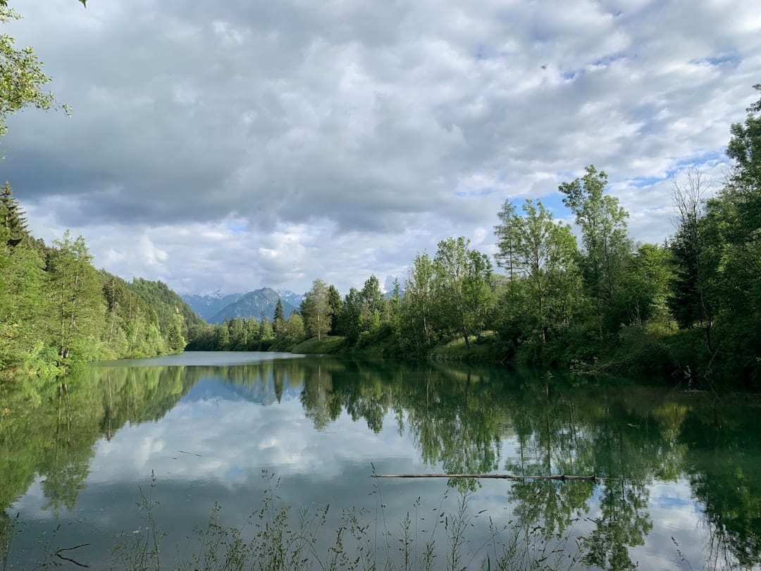 Lac de Naussac – Tout savoir : pêche, faune aquatique et loisirs activités au lac de naussac