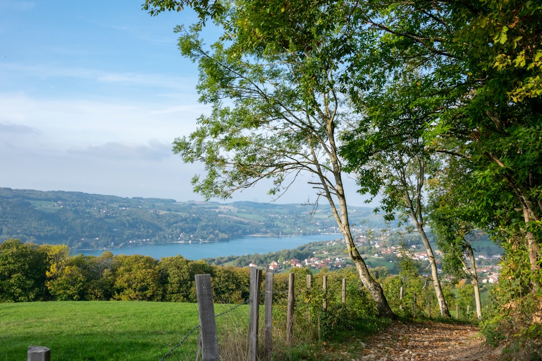 lac de paladru - vue du lac