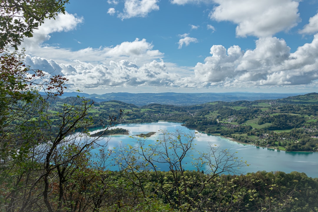 Lac de Passy – Pêche, nature et activités autour du lac poissons et pêche au lac de passy