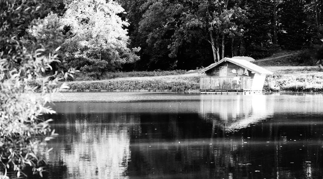 Lac de Peyrolles – Pêche, kayak et découverte du lac lac de peyrolles pêche aux leurres
