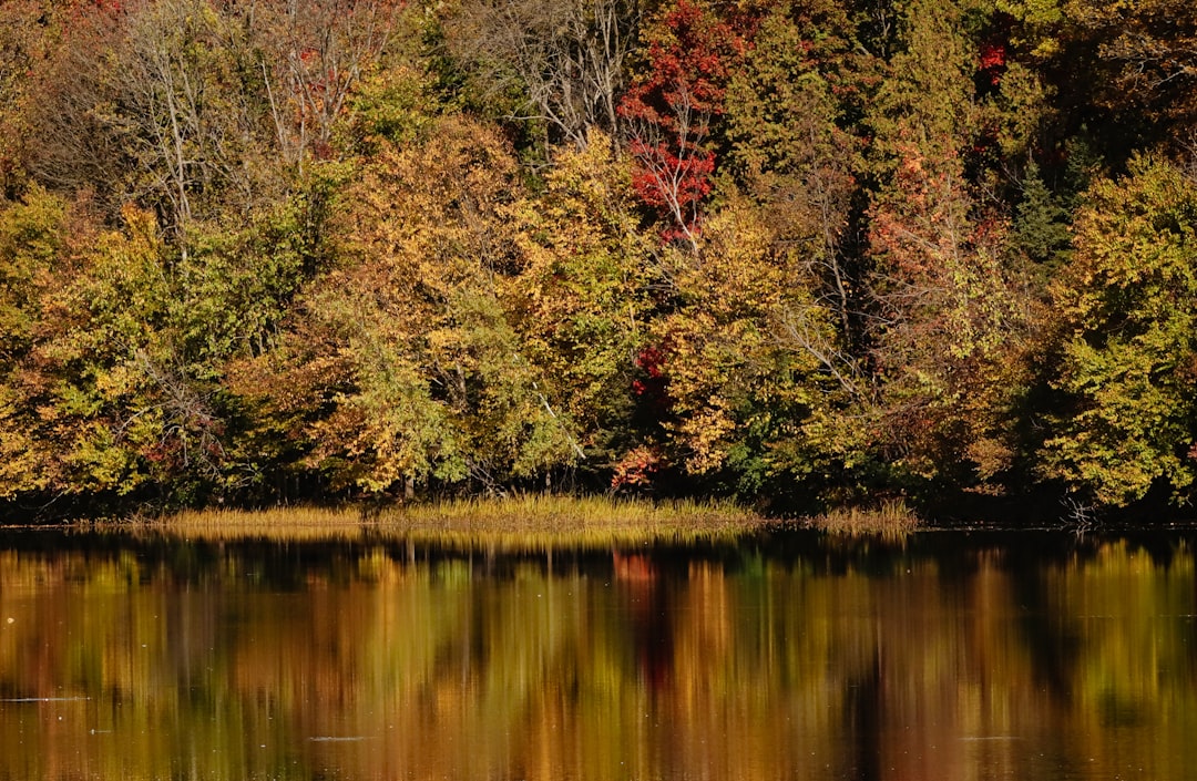 Lac de Peyrolles – Pêche, kayak et découverte du lac poissons et pêche au lac de peyrolles