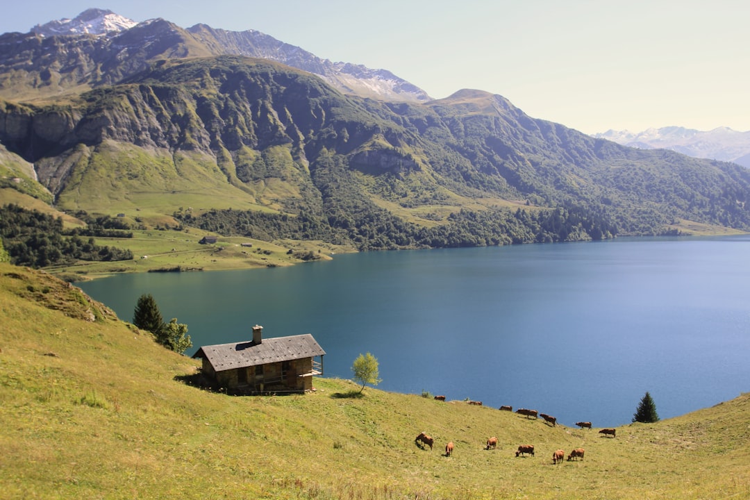 Lac de Roselend – Poissons, pêche et activités en bord de lac lac de roselend - vue du lac