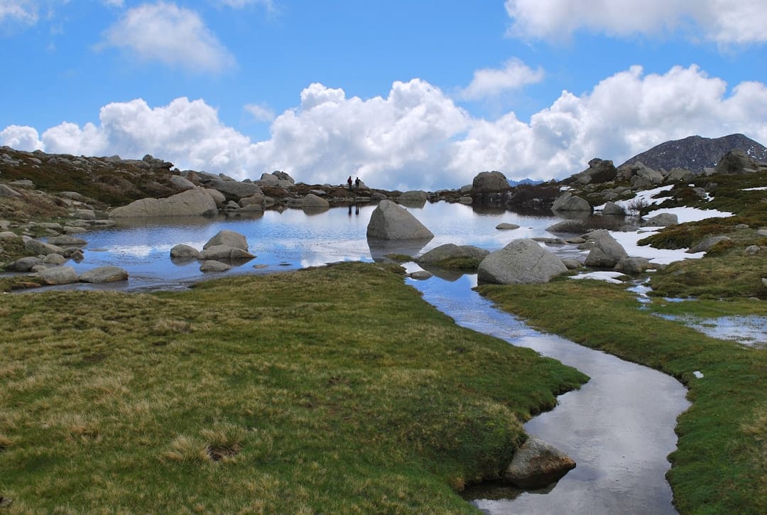 poissons et pêche au lac de saint cassien