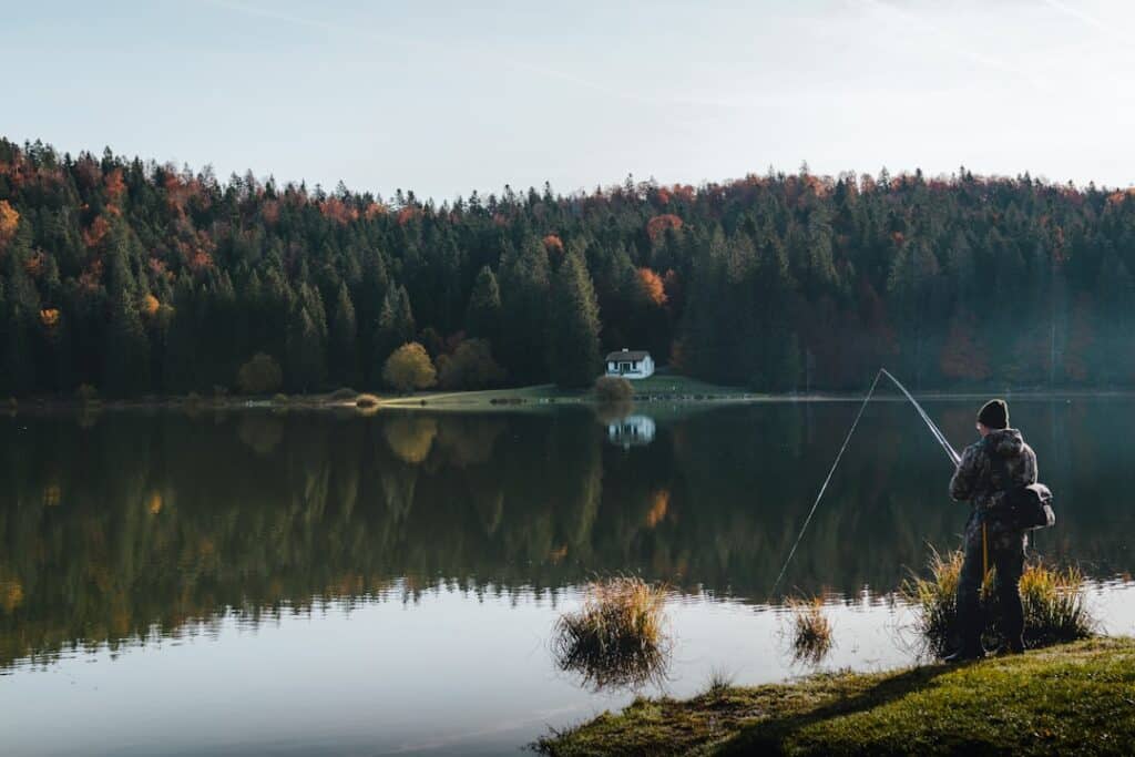 lac de serre poncon - vue du lac
