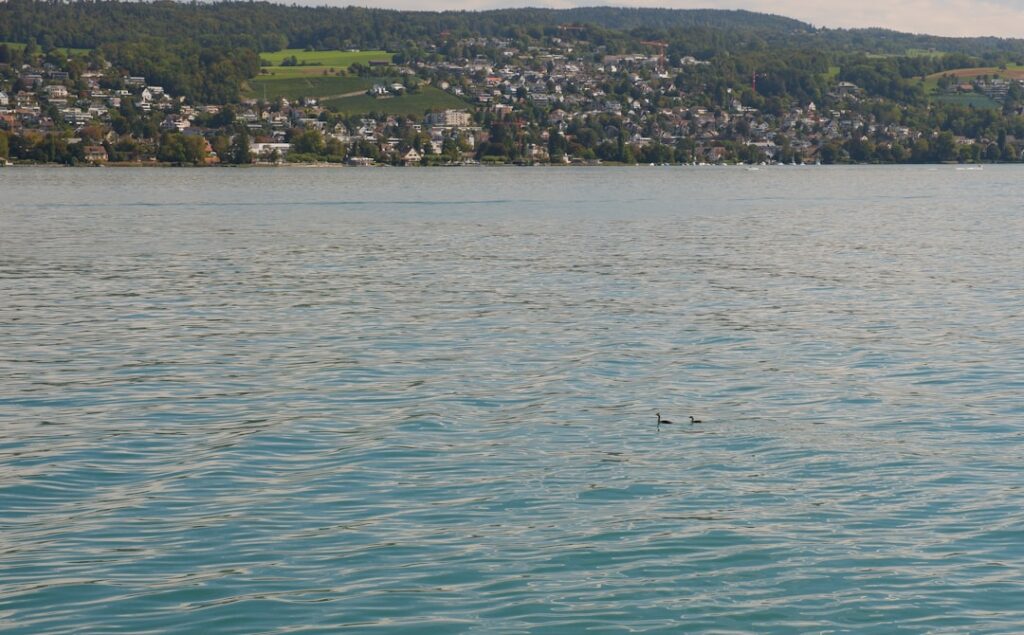 lac de vassiviere - vue du lac