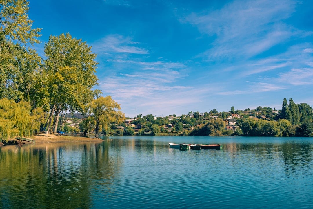 Lac de Vassiviere – Carpe, brochet et pêche au bord de l'eau poissons et pêche au lac de vassiviere
