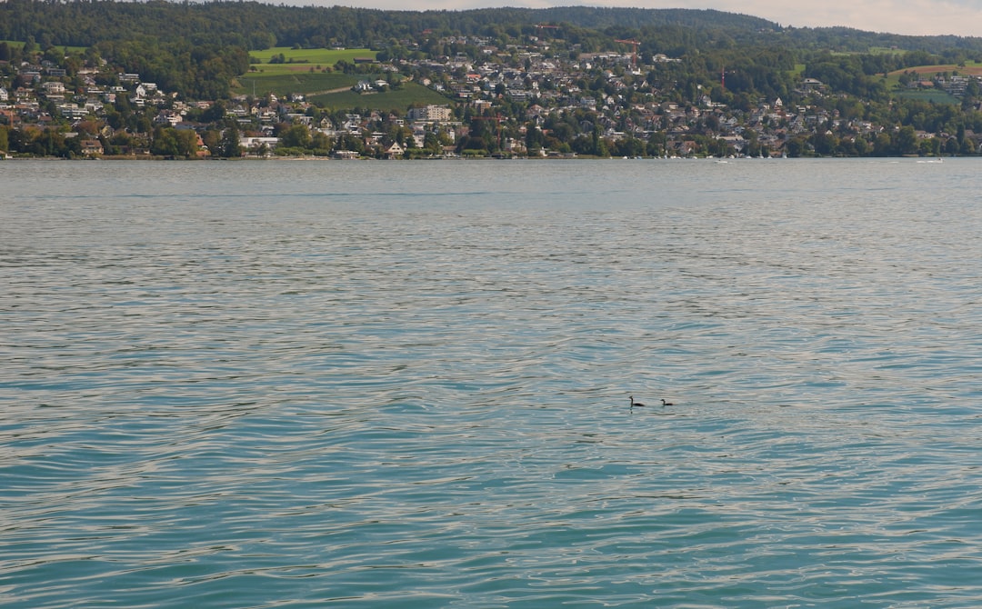 Lac de Vassiviere – Carpe, brochet et pêche au bord de l'eau lac de vassiviere - vue du lac