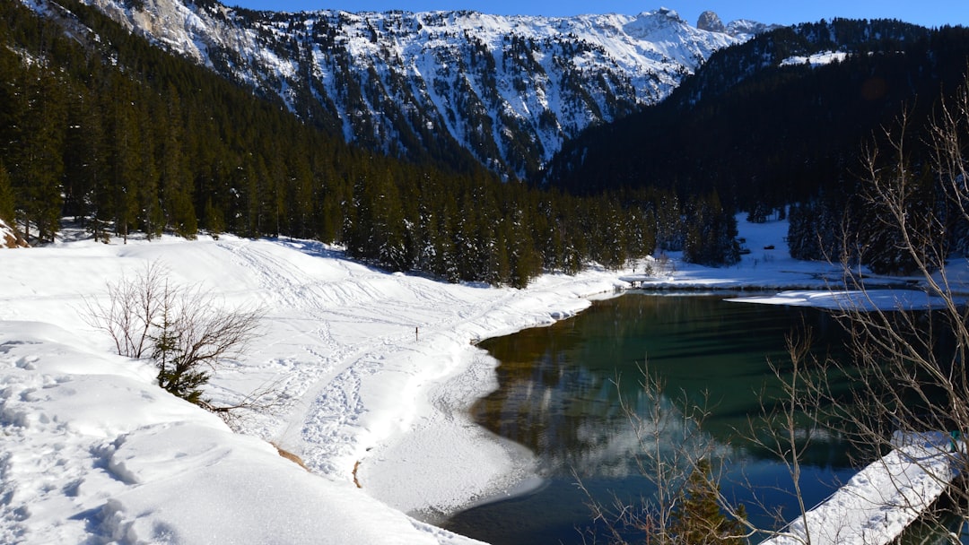 Lac des Sapins – Guide du pêcheur et des activités nautiques poissons et pêche au lac des sapins