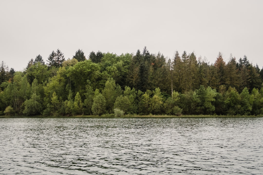 Lac des Sapins – Guide du pêcheur et des activités nautiques lac des sapins - vue du lac