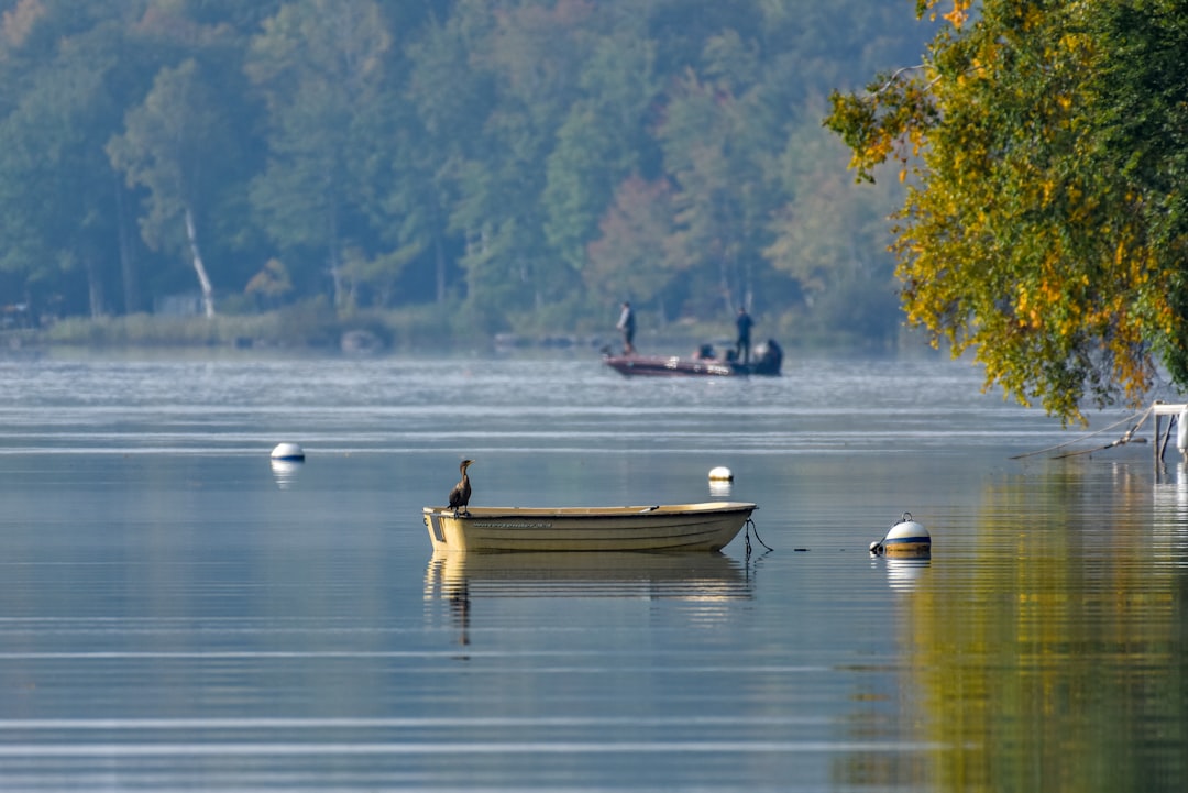 Lac des Vieilles Forges – Pêche, baignade et infos pratiques lac des vieilles forges pêche aux leurres